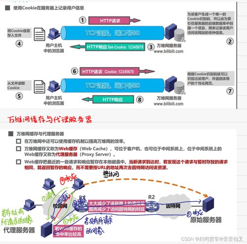 計(jì)算機(jī)網(wǎng)絡(luò)期末復(fù)習(xí)筆記（第六彈） 應(yīng)用層與網(wǎng)絡(luò)信息咨詢