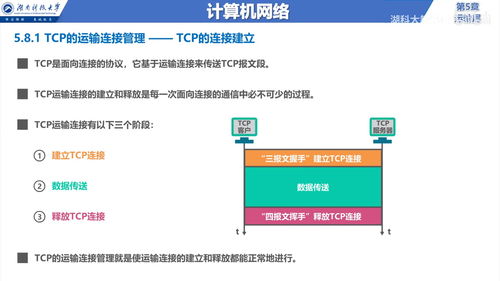 計(jì)算機(jī)網(wǎng)絡(luò)信息咨詢 深入解析運(yùn)輸層（第5層）的核心功能與應(yīng)用